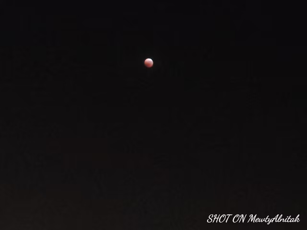 72CED49281FFF7C1178DC261EB463819.jpg